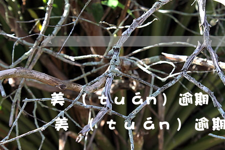 美團(tuán)逾期幾個小時有沒有事-美團(tuán)逾期幾個小時有沒有事