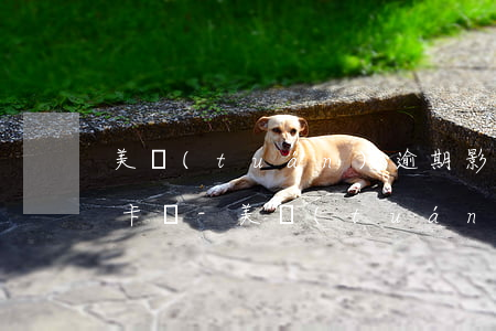 美團(tuán)逾期影響張家口銀行信用卡嗎-美團(tuán)逾期影響張家口銀行信用卡嗎