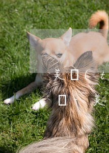 美團(tuán)逾期打電話給家人怎么投訴-美團(tuán)逾期打電話給家人怎么投訴啊