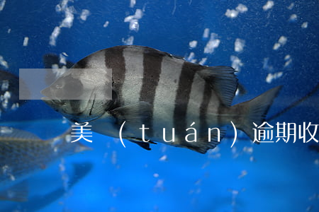 美團(tuán)逾期收到信件怎么處理