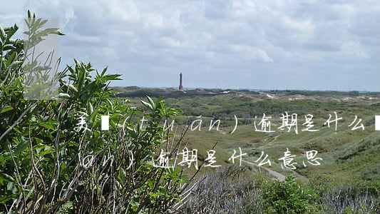 美團(tuán)逾期是什么樣(美團(tuán)逾期是什么意思)