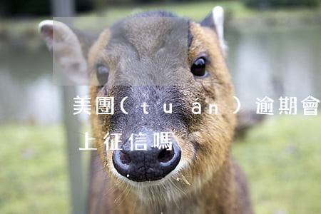 美團(tuán)逾期會(huì)到賬嗎上征信嗎