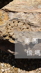 美團(tuán)逾期會(huì)劃扣微信嗎-美團(tuán)逾期兩年有權(quán)利從微信支付寶私扣嗎