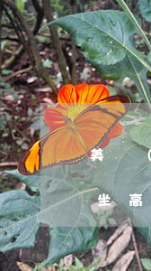 美團(tuán)逾期會(huì)被限制坐高鐵嗎(美團(tuán)逾期一個(gè)月能坐高鐵)