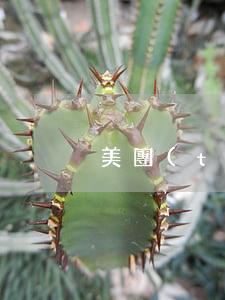 美團(tuán)逾期會影響二代征信嗎