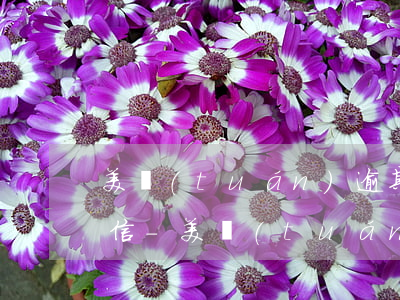美團(tuán)逾期為什么會影響二代征信-美團(tuán)逾期為什么會影響二代征信記錄