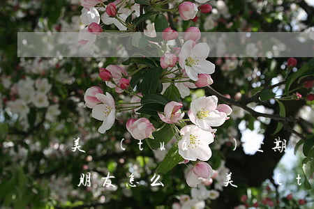 美團(tuán)逾期發(fā)信息給我朋友怎么辦-美團(tuán)逾期發(fā)信息給我朋友怎么辦呢
