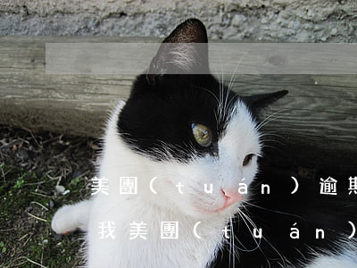 美團(tuán)逾期發(fā)圖片起訴我(美團(tuán)逾期15天短信說要起訴我是真是假)