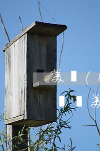 美團(tuán)逾期短信兩萬(wàn)塊錢(美團(tuán)逾期兩千塊錢短信說起訴是不是真的)