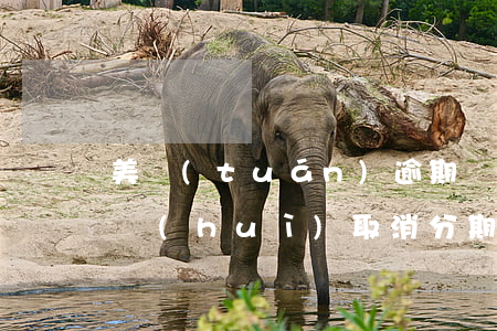 美團(tuán)逾期結(jié)清后還會(huì)取消分期嗎-