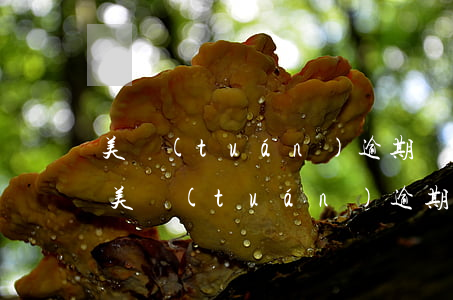美團(tuán)逾期罰款多少利息一年-美團(tuán)逾期罰款多少利息一年呢