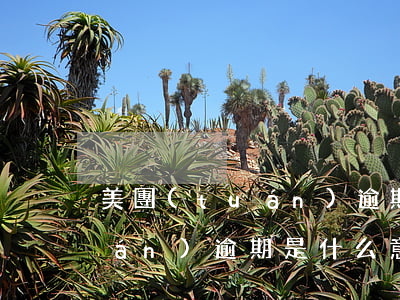 美團(tuán)逾期能減免嗎(美團(tuán)逾期是什么意思)