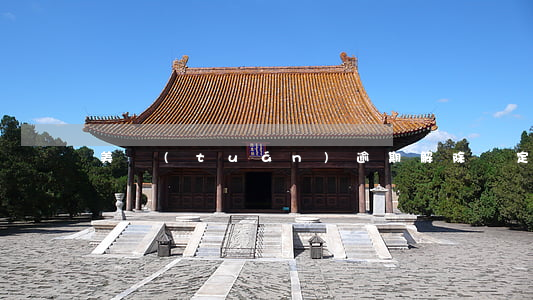 美團(tuán)逾期解除綁定會自動扣款嗎-