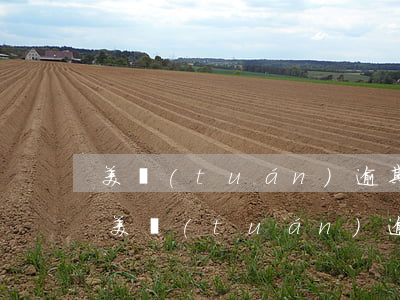 美團(tuán)逾期說(shuō)拘留(美團(tuán)逾期十幾天說(shuō)移交公安局是真的嗎)