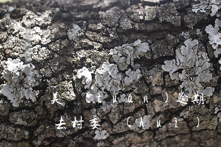 美團(tuán)逾期說(shuō)是要去村委會(huì)貼賬單-美團(tuán)逾期說(shuō)是要去村委會(huì)貼賬單是真的嗎