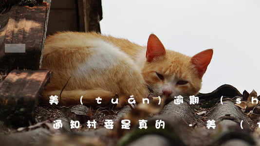 美團(tuán)逾期說(shuō)是要通知村委是真的嗎-美團(tuán)逾期兩個(gè)月說(shuō)聯(lián)系村委會(huì)真的假的