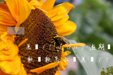 美團(tuán)逾期說(shuō)要全款還款怎么辦(美團(tuán)逾期還清后還要一次性結(jié)清全款合理嗎?)