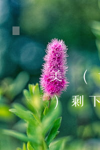 美團(tuán)逾期還了一點(diǎn)剩下的沒還怎么辦（美團(tuán)逾期金額怎么還）