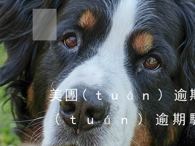 美團(tuán)逾期騷擾怎么投訴他(美團(tuán)逾期騷擾怎么投訴他)