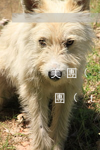 美團(tuán)還款幾天后算逾期利息 美團(tuán)還款遲3天還能借出來嗎