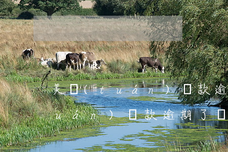 美團(tuán)還款逾期了兩天(美團(tuán)還款逾期了兩天,會(huì)不會(huì)影響信譽(yù))