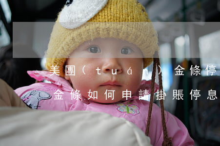 美團(tuán)金條停息掛賬可以嗎(京東金條如何申請掛賬停息)
