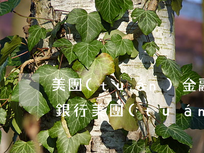 美團(tuán)金融信用卡逾期兩天(上海銀行美團(tuán)信用卡逾期一天了怎么辦)