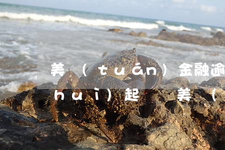 美團(tuán)金融逾期3100元會(huì)起訴嗎(美團(tuán)金融逾期3100元會(huì)起訴嗎)