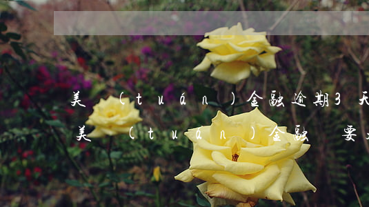 美團(tuán)金融逾期3天說要起訴我(美團(tuán)金融說要起訴我怎么辦)