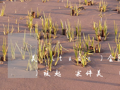 美團(tuán)金融逾期多久會(huì)被起訴案件 美團(tuán)貸款逾期多久會(huì)被起訴會(huì)有什么后果