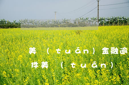 美團(tuán)金融逾期多久會被起訴案件 美團(tuán)貸款逾期多久會被起訴會有什么后果