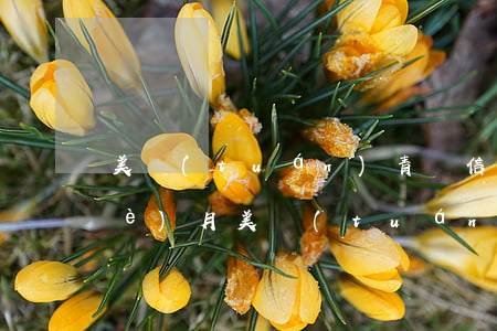 美團(tuán)青島信用卡逾期三個(gè)月(美團(tuán)逾期會(huì)影響信用卡嗎)