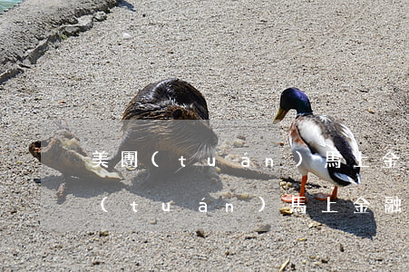 美團(tuán)馬上金融逾期了一天 美團(tuán)馬上金融逾期了一天會(huì)不會(huì)對征信有影響信用卡使用