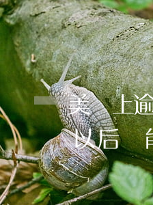 美團上逾期多久能重新借錢(美團逾期了還款以后還能馬上再借出來嗎?)