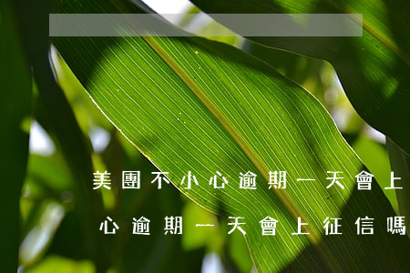 美團不小心逾期一天會上征信嗎-美團不小心逾期一天會上征信嗎怎么辦