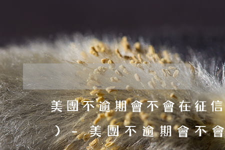 美團不逾期會不會在征信上體現(xiàn)-美團不逾期會不會在征信上體現(xiàn)出來