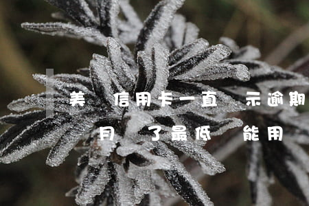 美團信用卡一直顯示逾期(美團信用卡逾期一個月還了最低還能用嗎)
