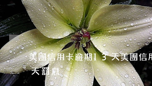 美團信用卡逾期13天(美團信用卡逾期13天罰息)