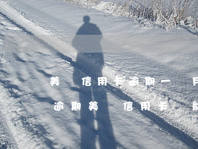 美團信用卡逾期一個月了怎樣辦(美團生活費逾期美團信用卡還能用嗎)