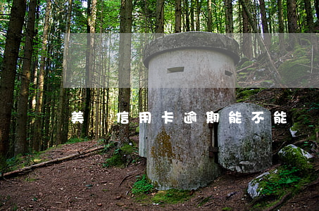美團信用卡逾期能不能辦(美團信用卡能辦嗎)