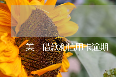美團借款和信用卡逾期
