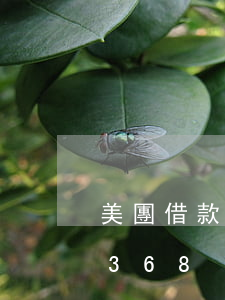 美團借款多少錢起訴（美團借錢逾期起訴12368）