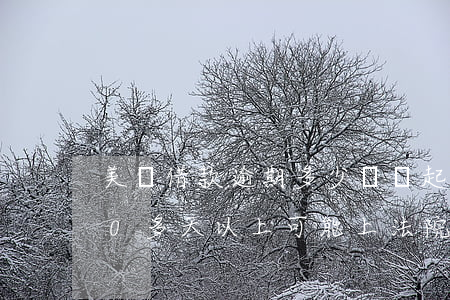 美團借款逾期多少錢會起訴 美團借錢逾期20多天以上 可能上法院受理嗎