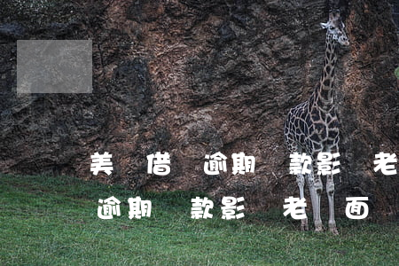 美團借貸逾期還款影響老師面審-美團借貸逾期還款影響老師面審嗎