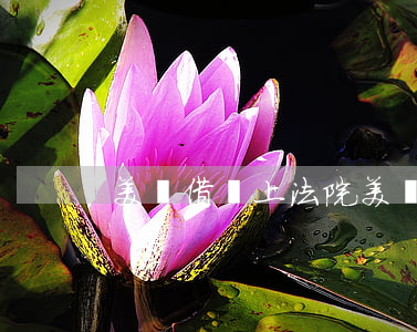 美團借錢上法院(美團借錢法院審理要多久)