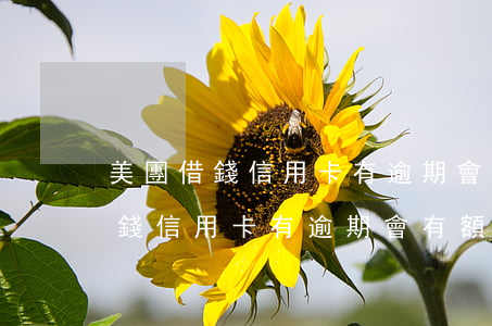 美團借錢信用卡有逾期會有額度嗎-美團借錢信用卡有逾期會有額度嗎知乎