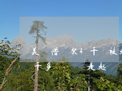 美團借錢欠4千會被起訴嗎(美團借款還有兩千多沒還說是起訴)