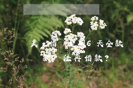 美團借錢逾期6天全款還清后仍被要求全額還款，無法再借款？
