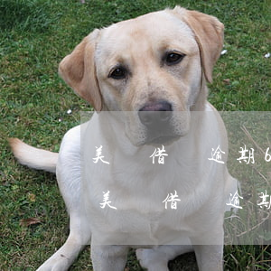 美團借錢逾期6天說要凍結我的銀行卡，警惕！美團借錢逾期6天，賬戶恐遭凍結