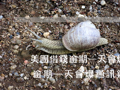 美團借錢逾期一天會爆通訊錄嗎-美團借錢逾期一天會爆通訊錄嗎安全嗎